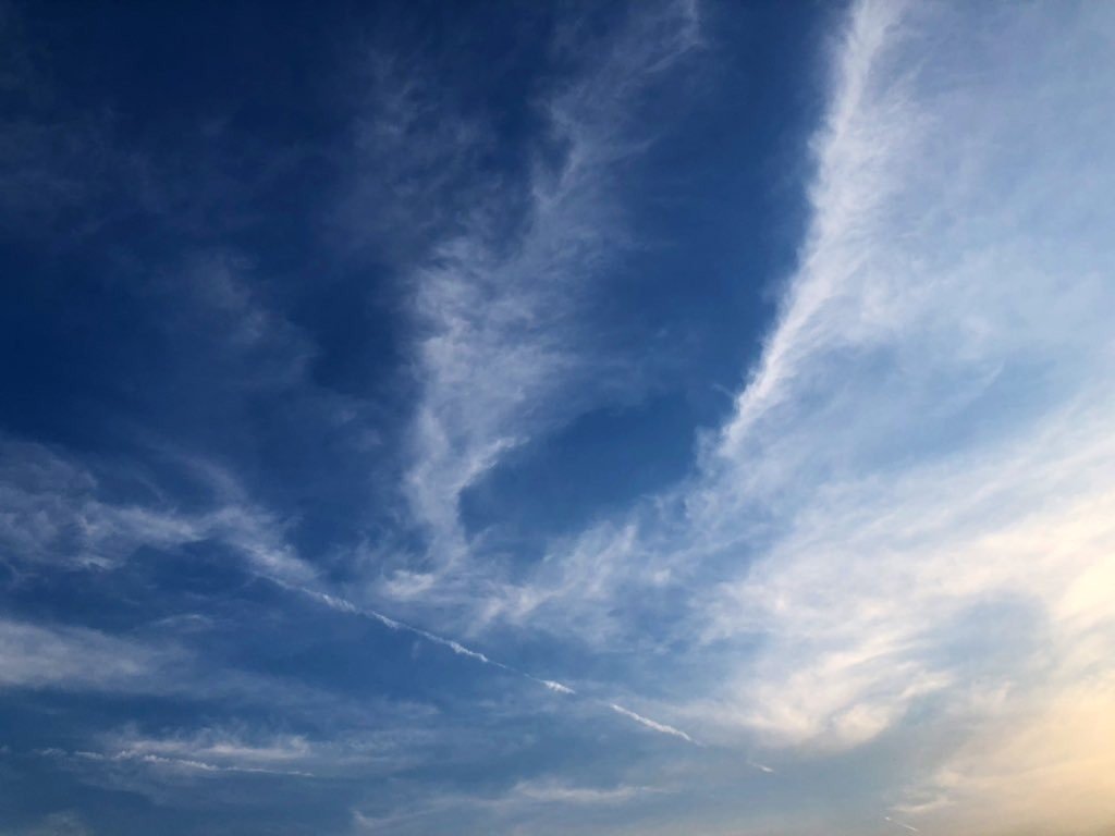 いつも顔が違う空 見上げよう 空が見たい と思わないと 中々上を向かない気がします この前の空は私の好きな感じだった 飛行機雲 咲月 ゚ Note いつも顔が違う空 見上げよう 空が見たい と思わないと 中々上を向かない気がします この前の空は私の好きな感じだった 飛行機雲 咲月 ゚ Note