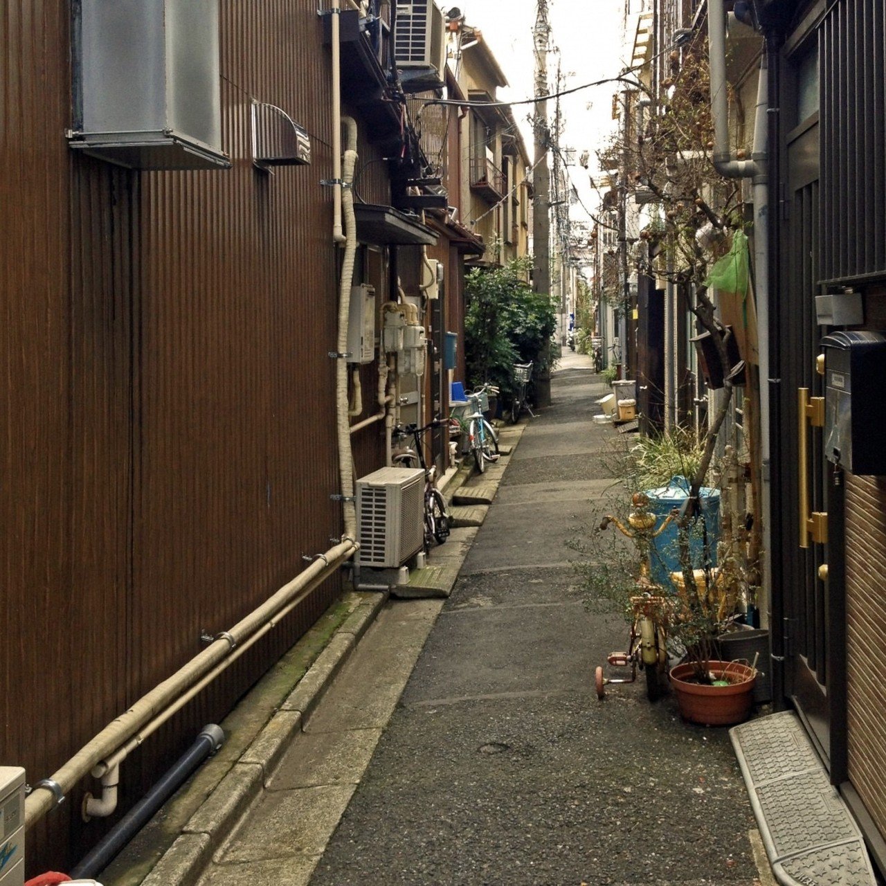 路地裏ワンダーランド Tsunehiro Suga Note 路地裏ワンダーランド Tsunehiro Suga Note