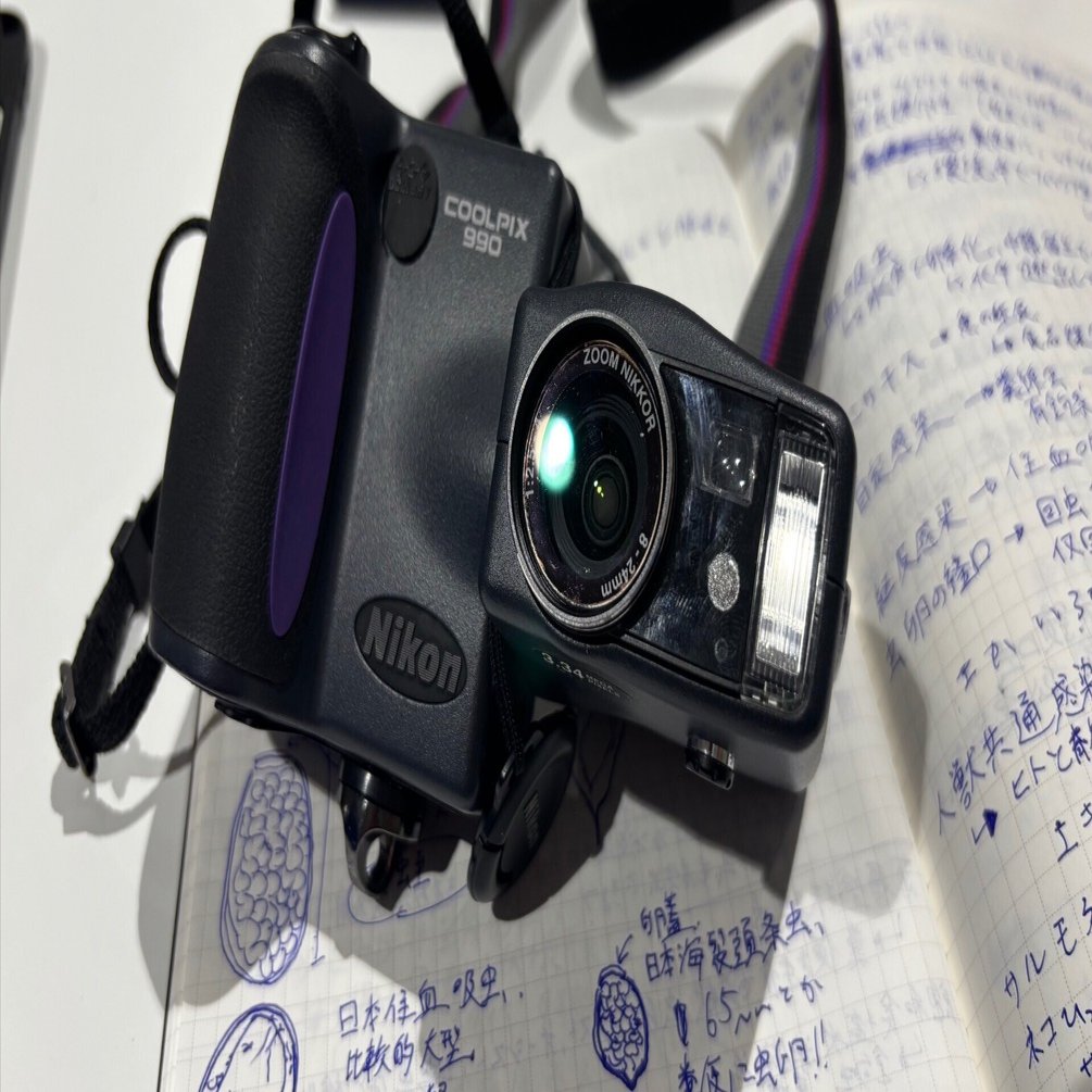 久しぶりmy new gear (COOLPIX 990)｜如月コグの散文的LIFE