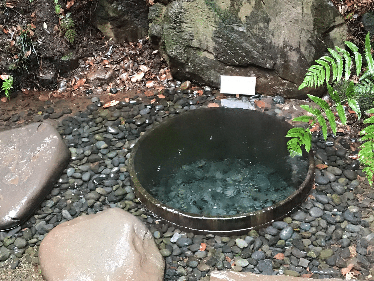 あなたを幸せにできる人 願いを叶えてくれる人 Akiko Yamashita 山下亜希子 Note