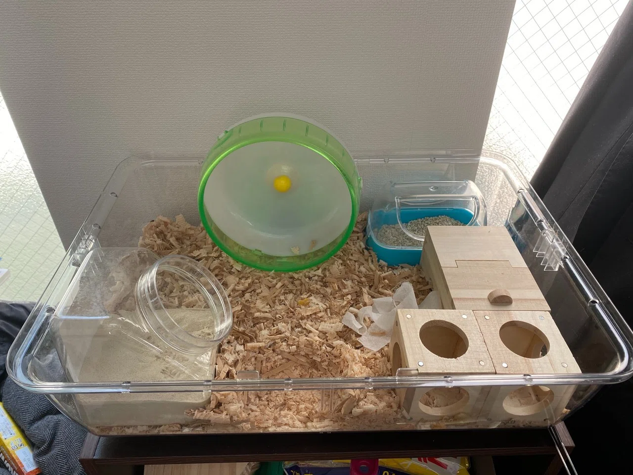 【中古】 ハムスター飼育日記（9） ハムスター飼育日記9日目（2020/5/4）｜サトウショウヘイ