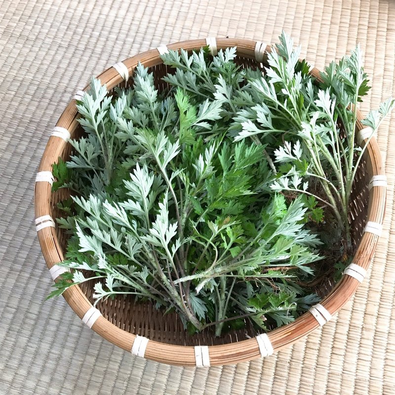 季節の植物 春 よもぎ 食べて良し 浸かって良し 使える和ハーブ さや Note