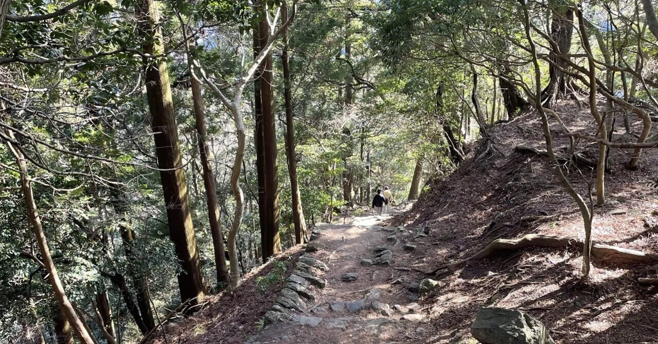 こんなにキツいつもりじゃなかった】ソロ登山3 大山 2026年1月27日
