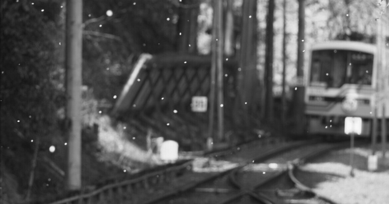 かつての桜風景と、これからの桜風景｜叡山電鉄 二ノ瀬駅｜夏と放し飼いのサムネイル画像