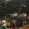 アイルランドでワーホリの人