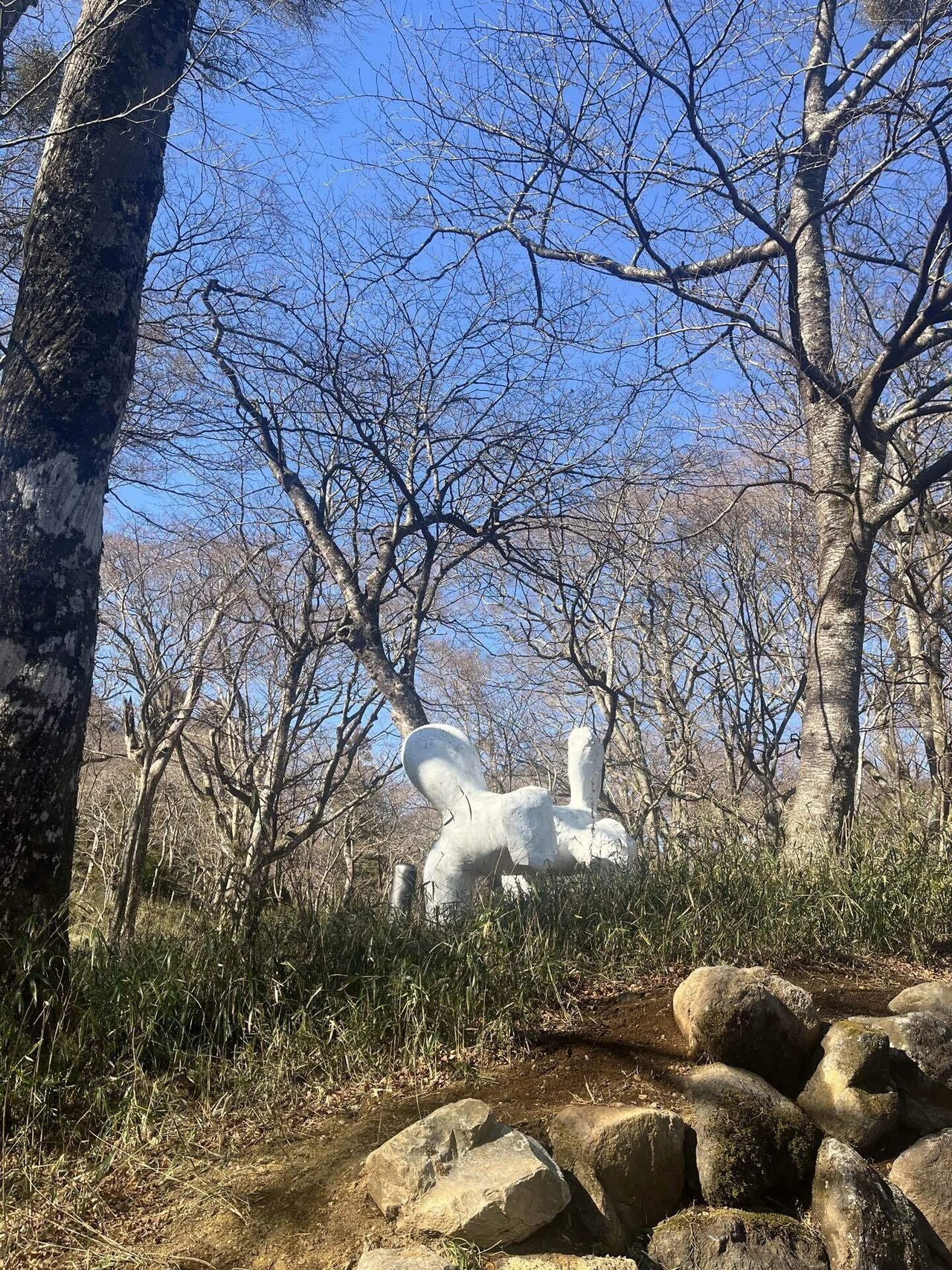 お正月の箱根旅〜ポーラ美術館｜今泉舞