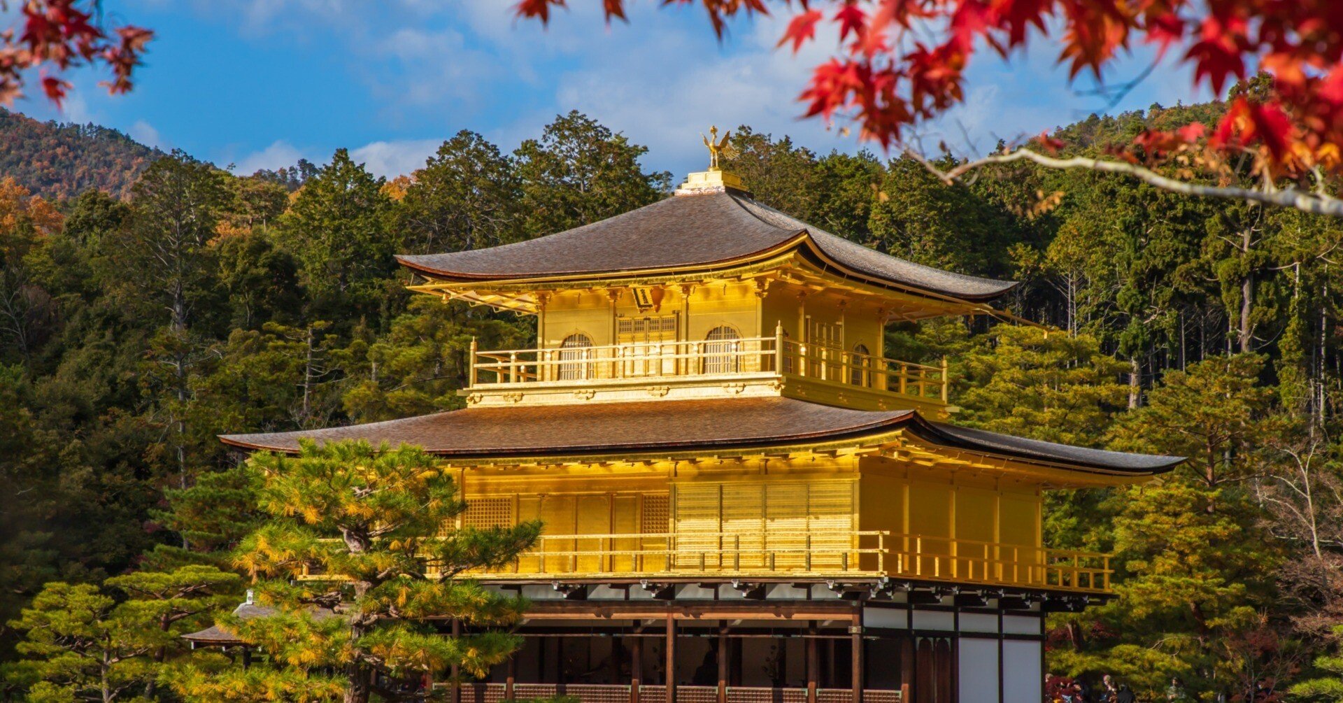 髙橋信一いすゞが紹介する神社仏閣 【金閣寺】｜髙橋信一の神社仏閣