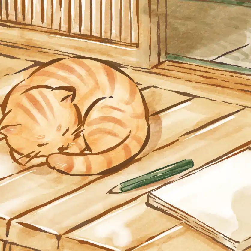 縁側と毛玉と