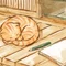 縁側と毛玉と