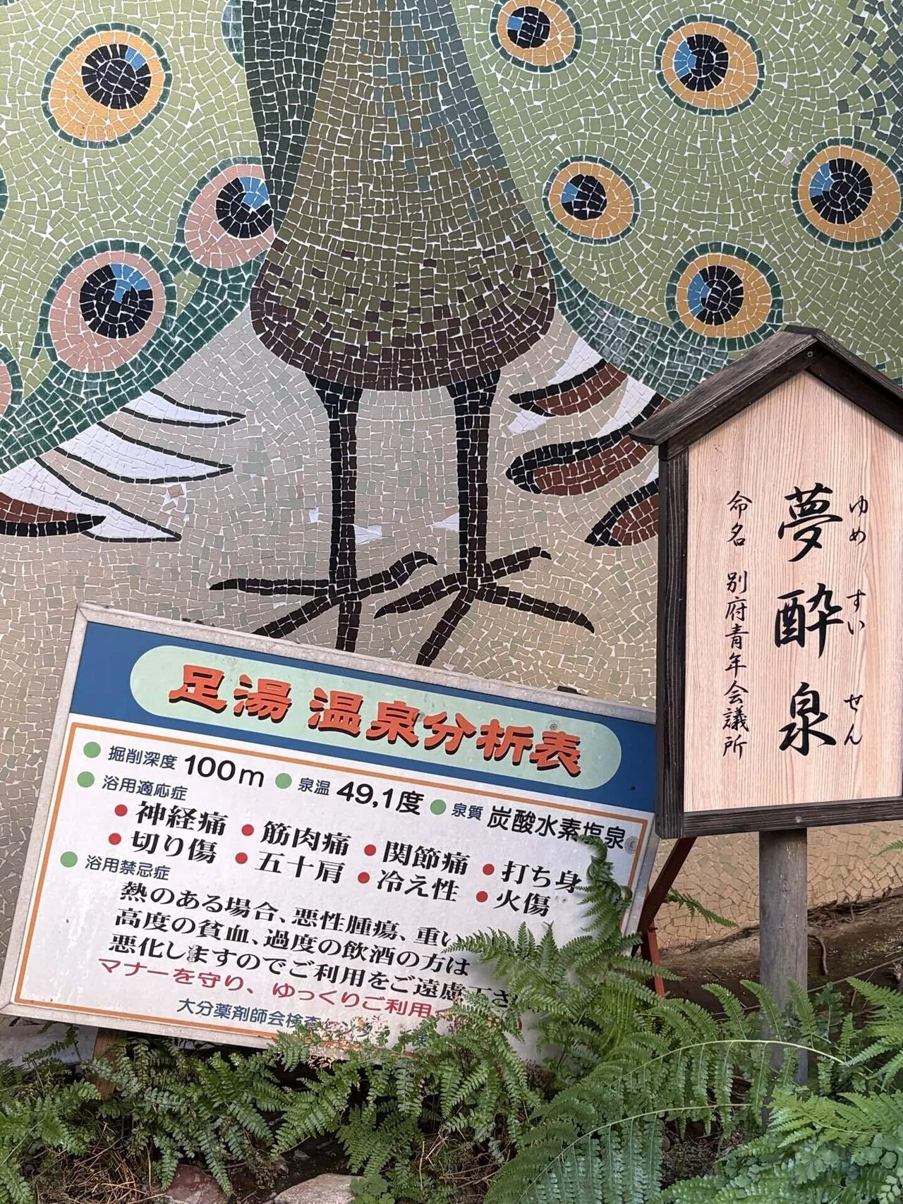 大分＆別府のタイルと建築の旅2026【野上本館のタイルとタイル巡りその
