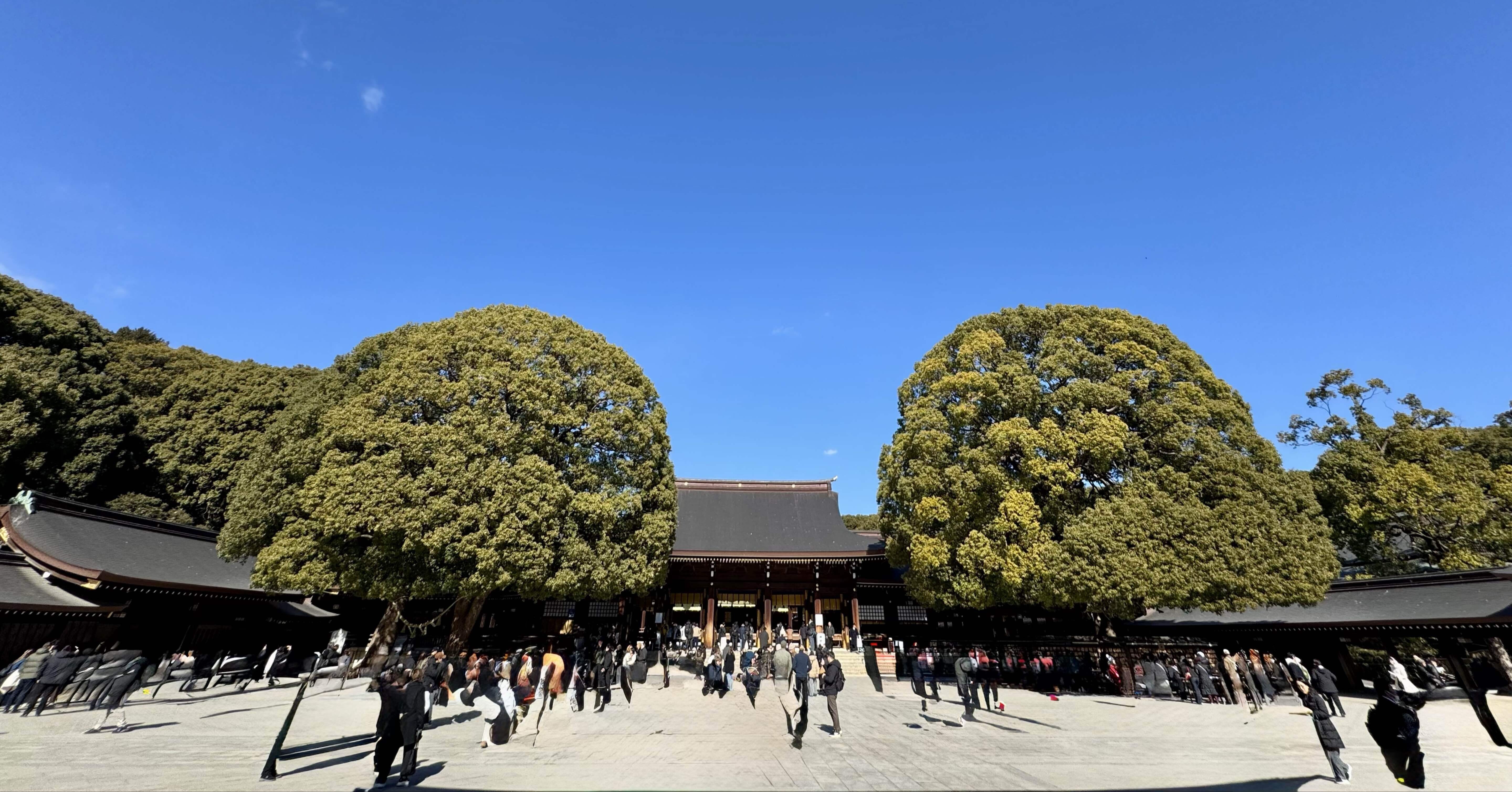 明治神宮①2026年1月｜福田博之