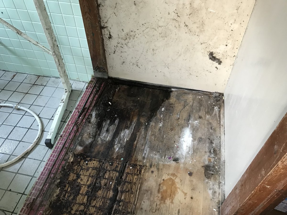 画像12