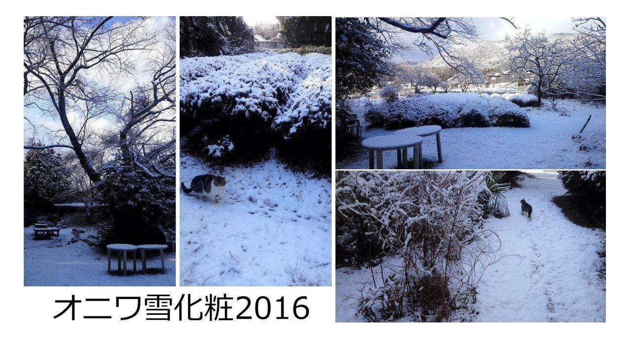 オニワ雪化粧2016