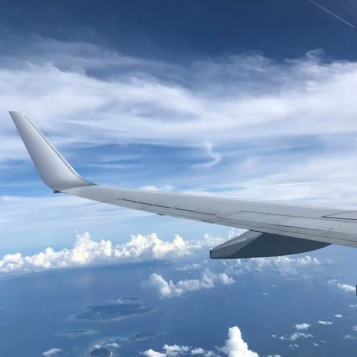いぶたん✈️はいさい