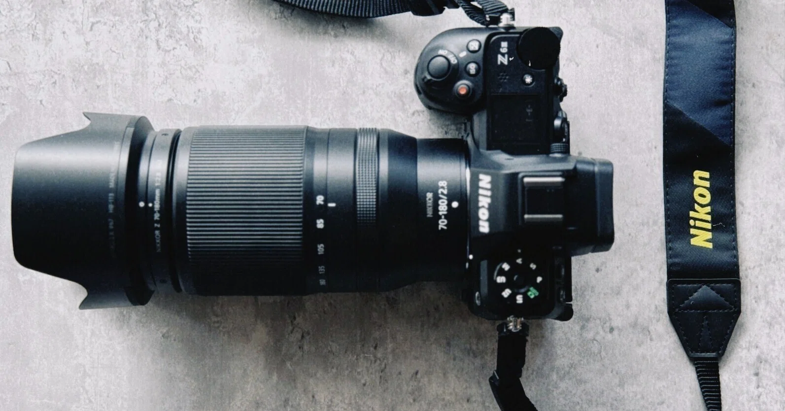 Nikon Z6III ファーストインプレッション｜猫写真家 あおいとり
