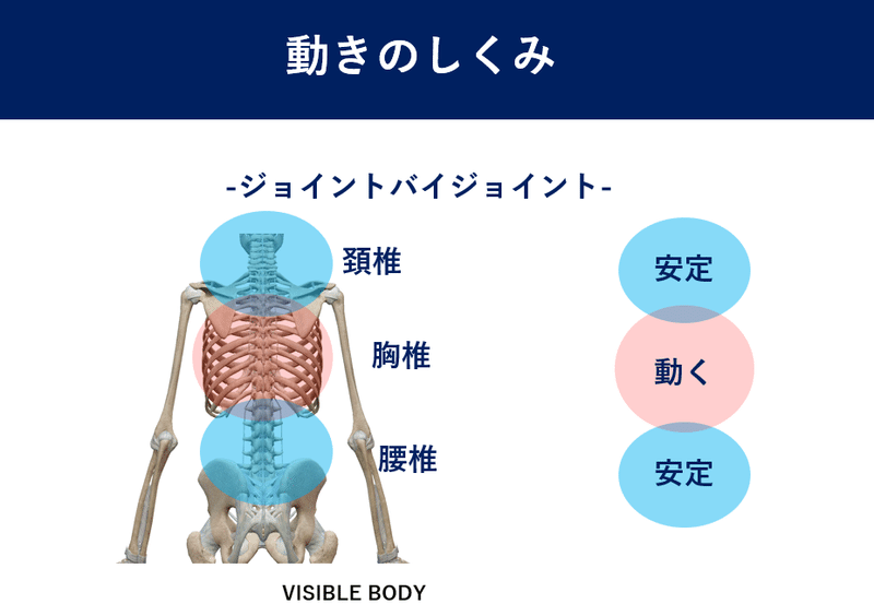 胸椎回旋トレーニングの質を高める 佐藤 康 Note 胸椎回旋トレーニングの質を高める 佐藤 康 Note