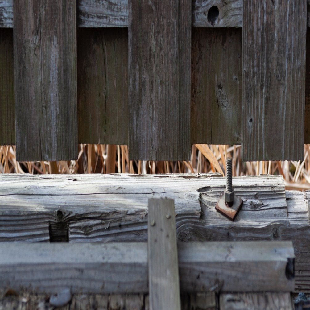 EF 75-300mmを使ってみました。｜永瀬喜久