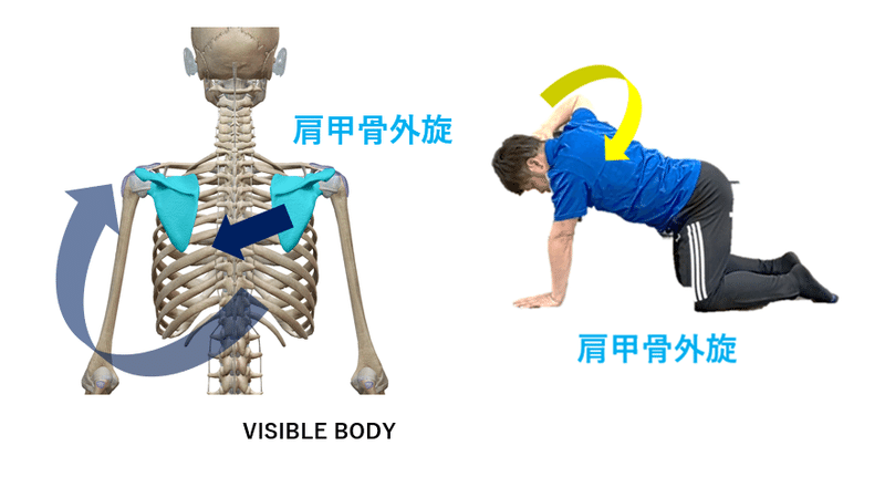 胸椎回旋トレーニングの質を高める 佐藤 康 Note 胸椎回旋トレーニングの質を高める 佐藤 康 Note