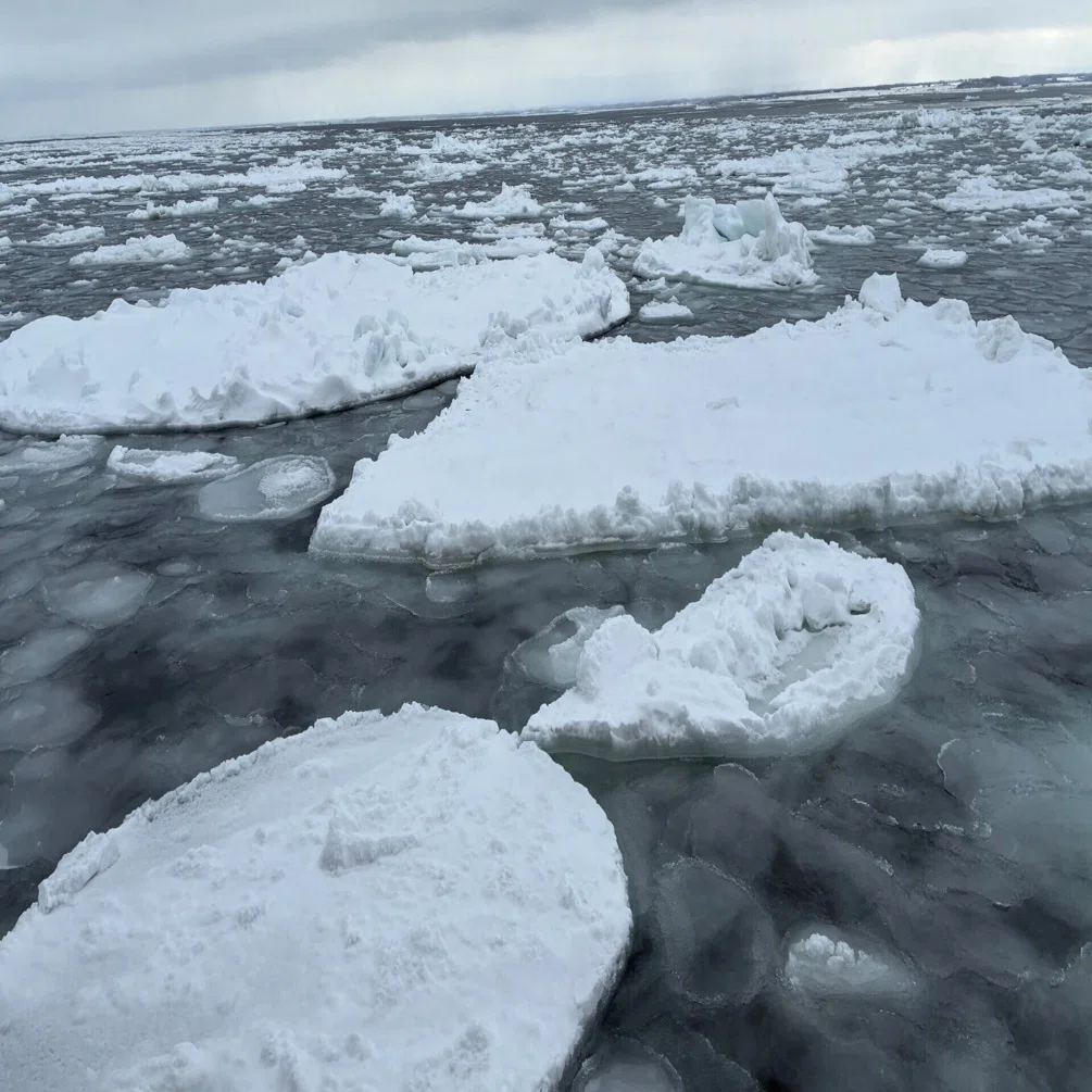 流氷観光砕氷船「おーろら」、そしてウトロへ｜traveler2025