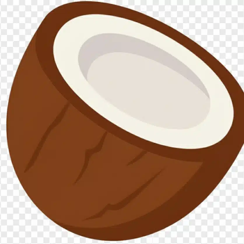 editor_coconut