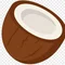 editor_coconut