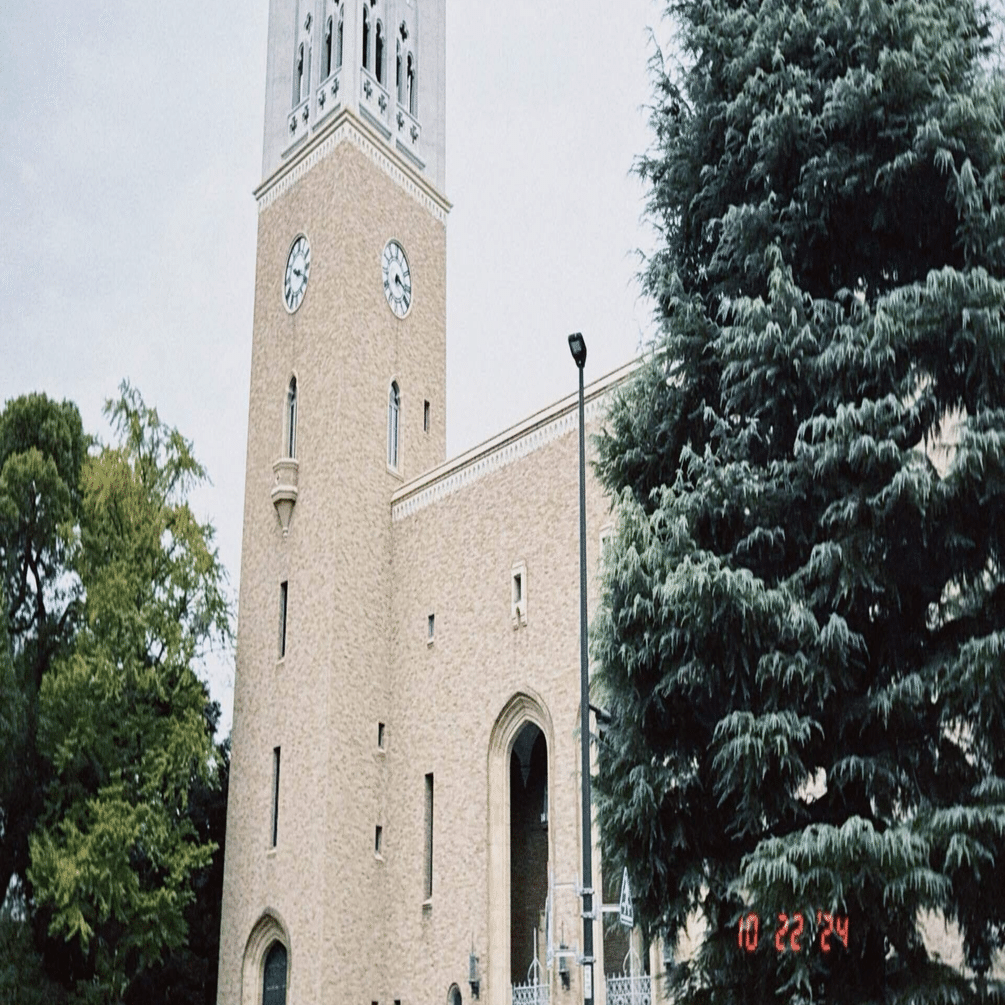 早稲田大学】文化構想学部2025年度 大問1｜全問解説｜赤本よりも丁寧で