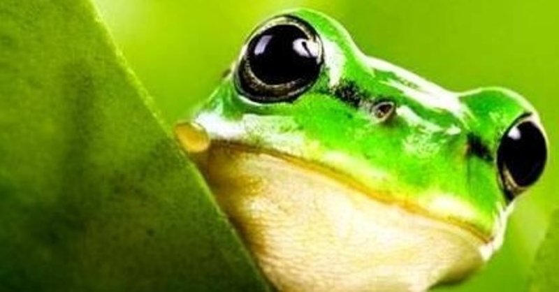 蛙始鳴 かわずはじめてなく Planet Note 蛙始鳴 かわずはじめてなく Planet Note