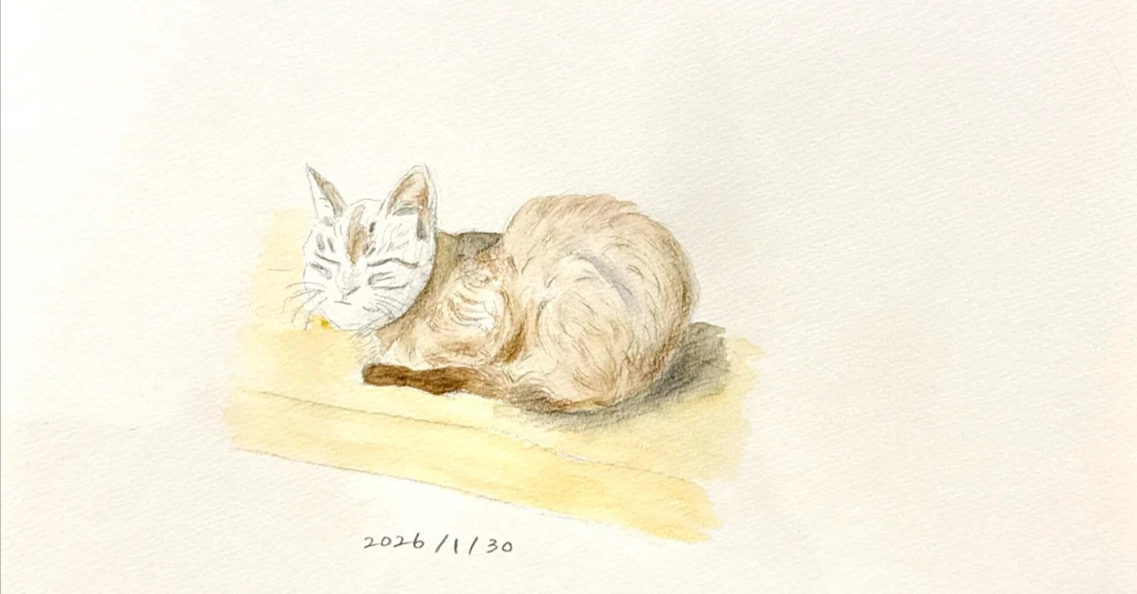 趣味の絵】日向ぼっこしてた猫｜Ryoko Tomura（戸村涼子）