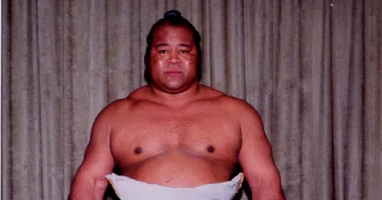 【追悼】元幕内・戦闘竜が死去、56歳｜恋質