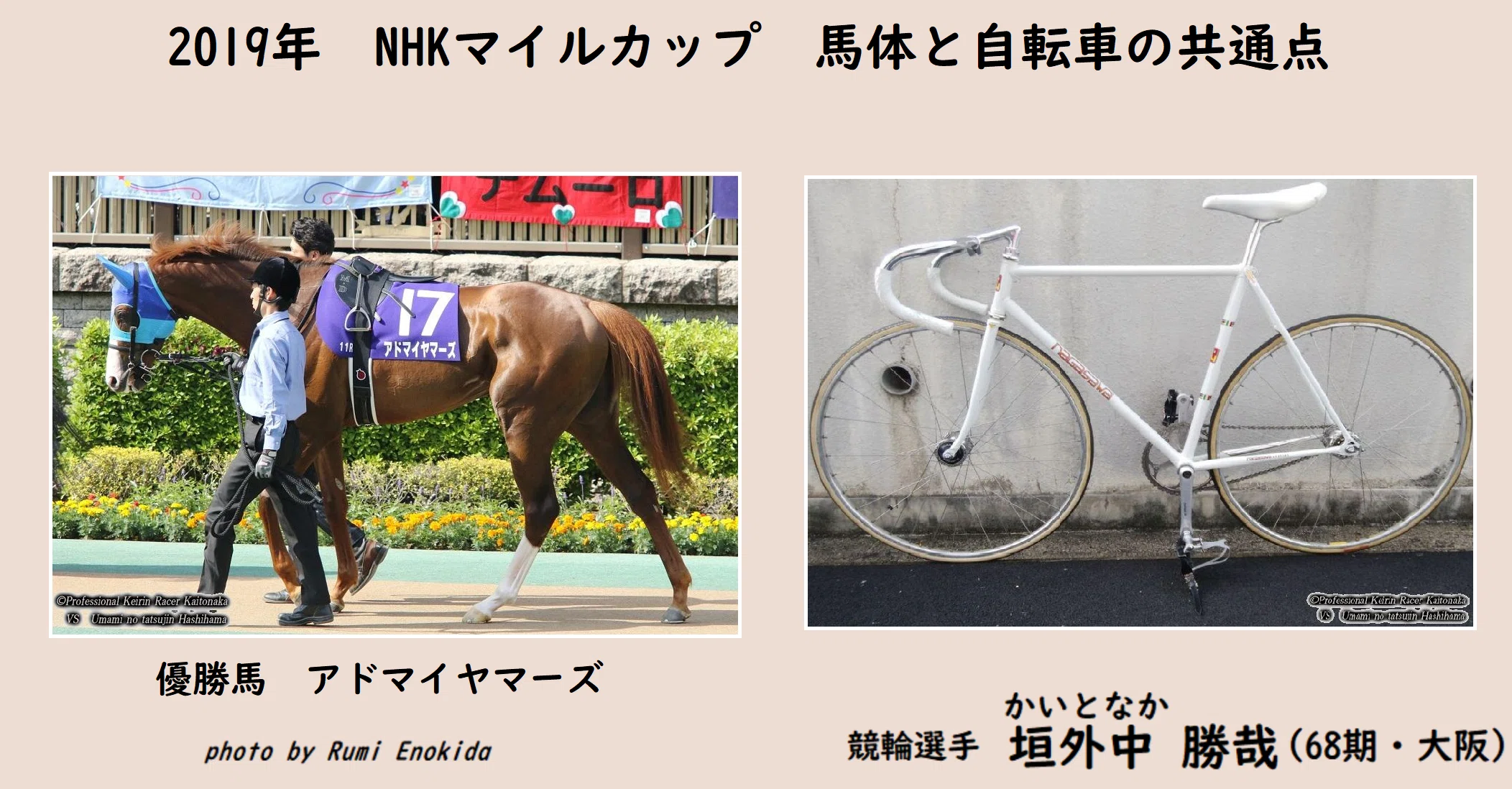 2019年 NHKマイルカップ 馬体と自転車の共通点｜垣外中 勝哉｜note