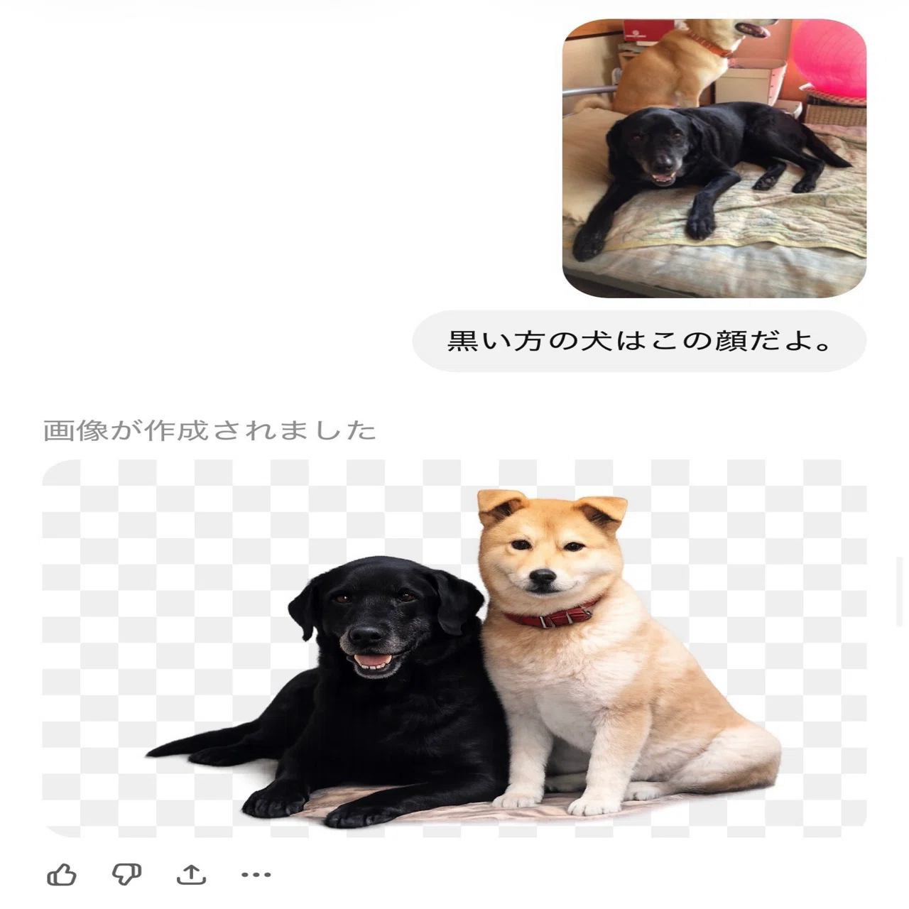 亡くなった愛犬の写真を、ChatGPTで“よみがえらせた”話〜古い写真から