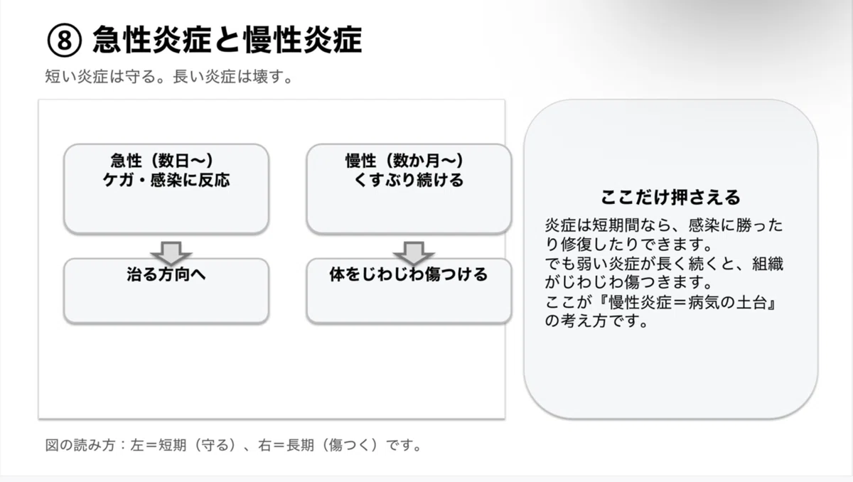 「炎症」てなに??医学生がわかりやすく解説します!|ゼロからわかる!!病気と薬の話💊🧑⚕️
