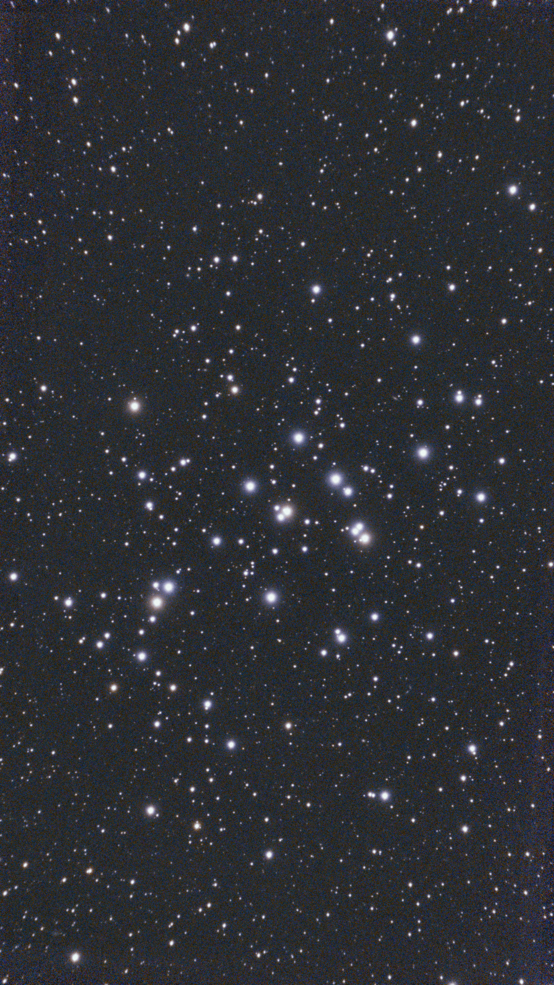 天体観測 M44 20260129｜anmintei