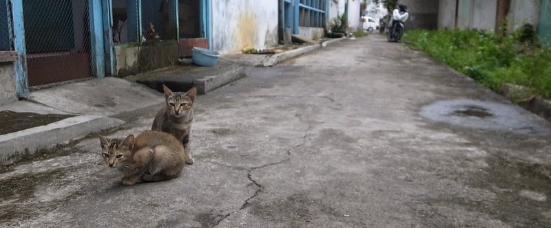 【第2回】冬場に知っておきたい管理の基本