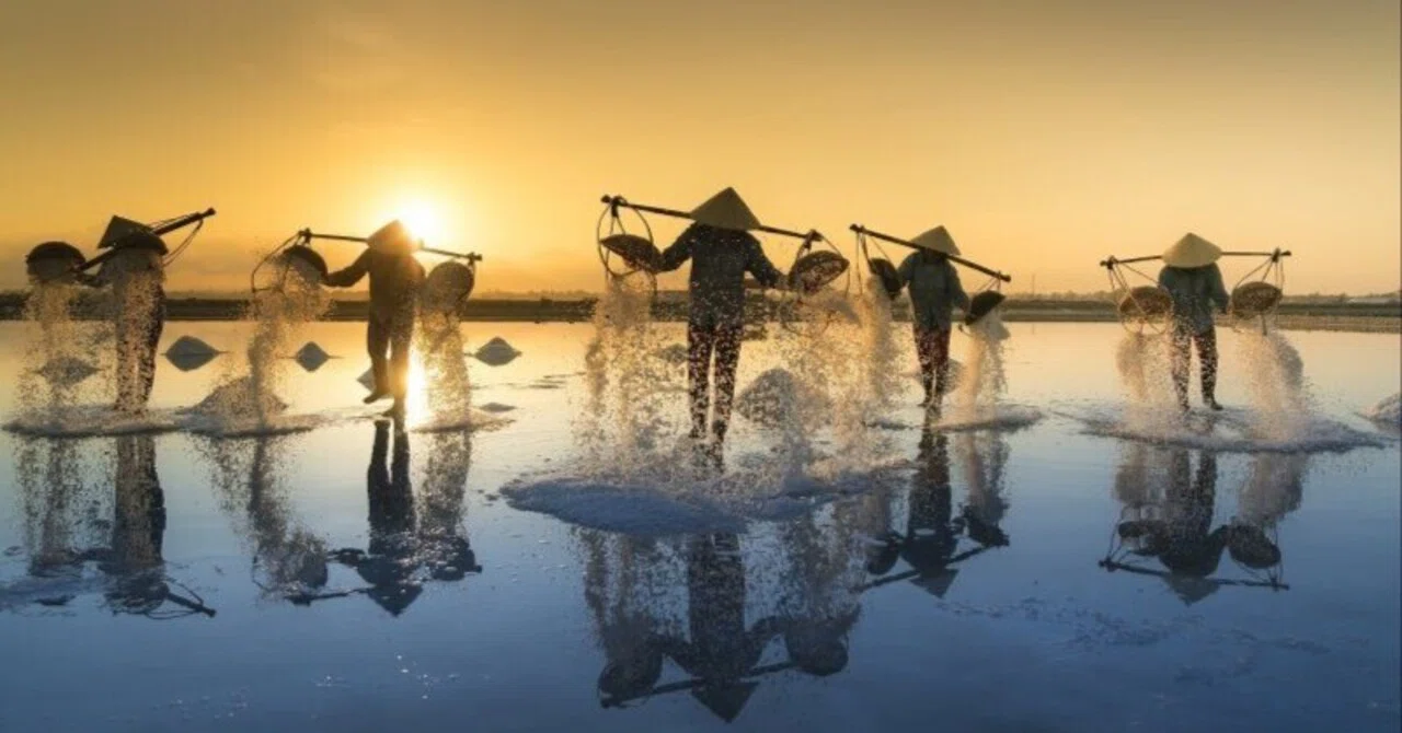 053 'Food of Life' from the Sea: Jomon Salt-Making Technology｜カワセミ