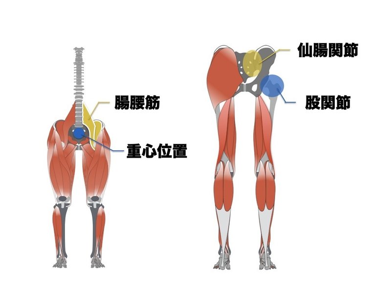 股関節トレーニング再考 平 純一朗 Pt Jspo At Note 股関節トレーニング再考 平 純一朗 Pt Jspo At Note