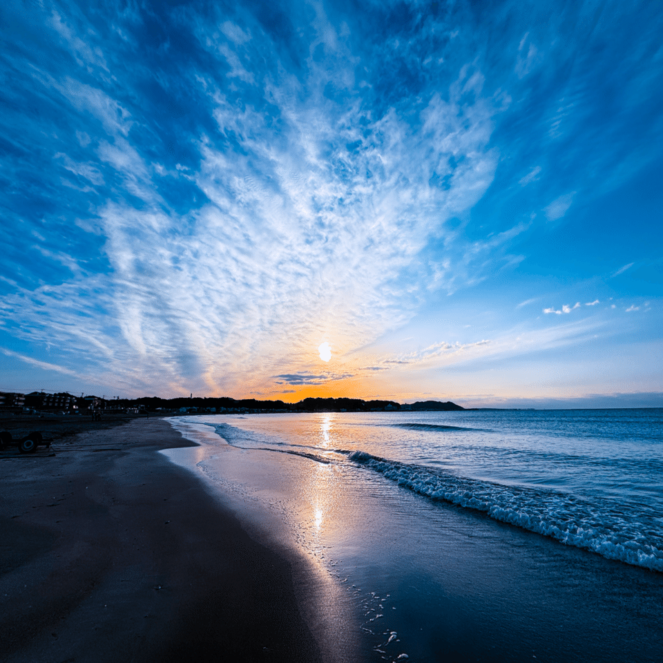 風景のことば》Vol.245｜ひかりへほどける｜風景写心家 / yossy