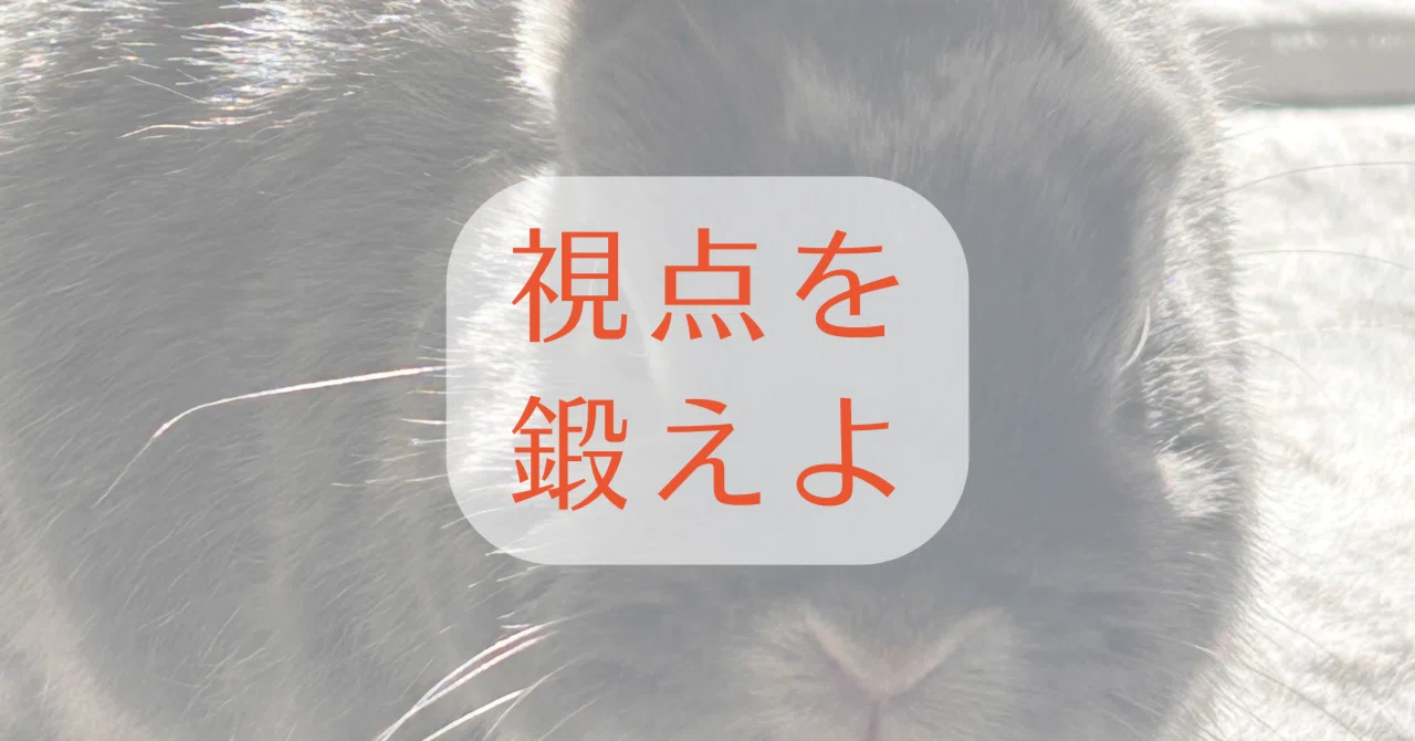 見出し画像