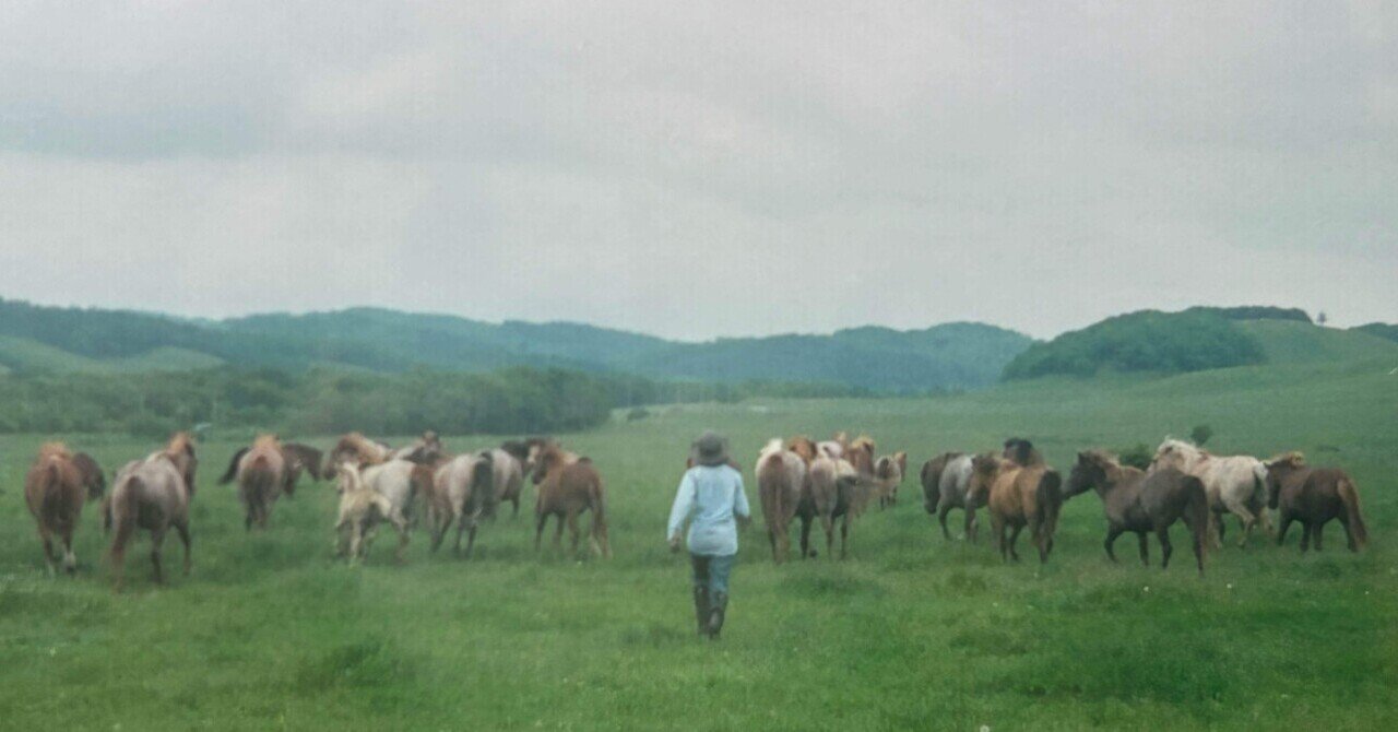 ガイドの試練の日々 eyecatch