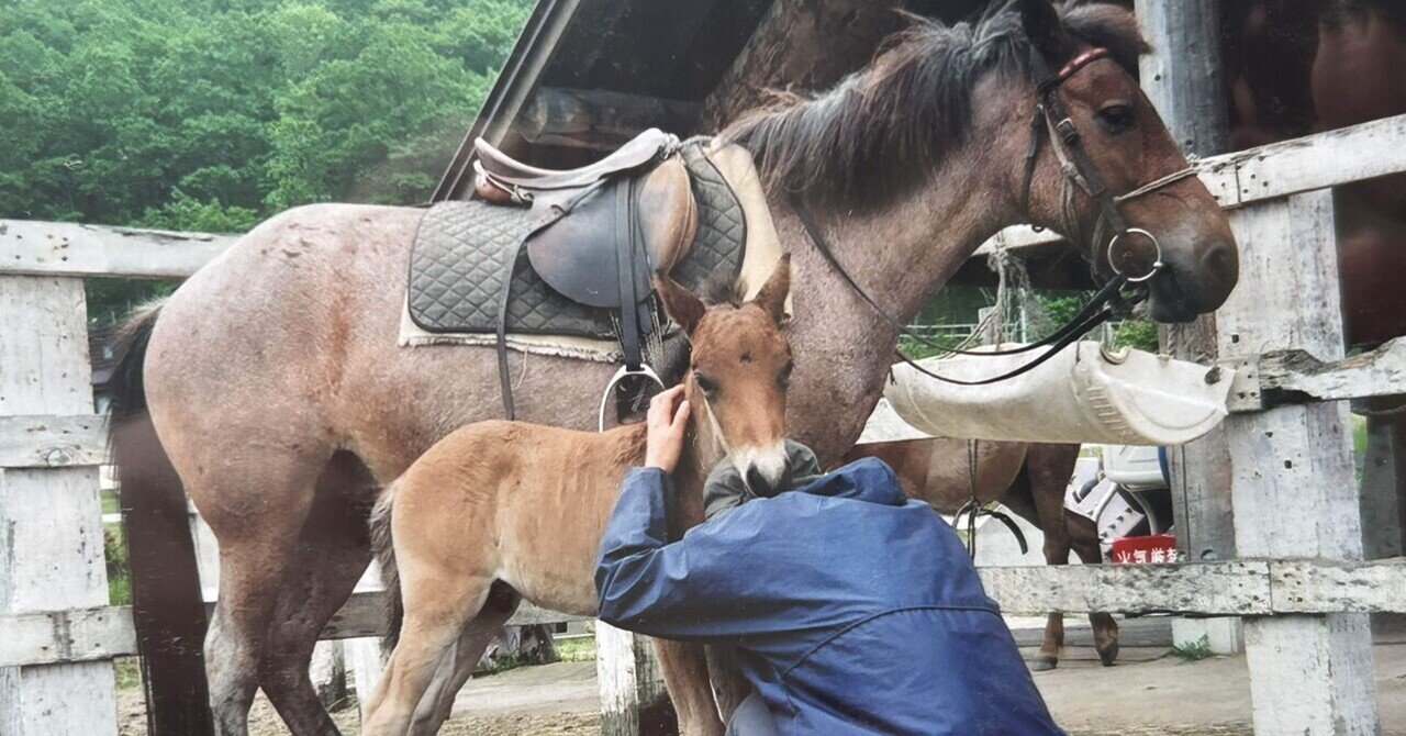 物足りなさを馬で埋めていく eyecatch