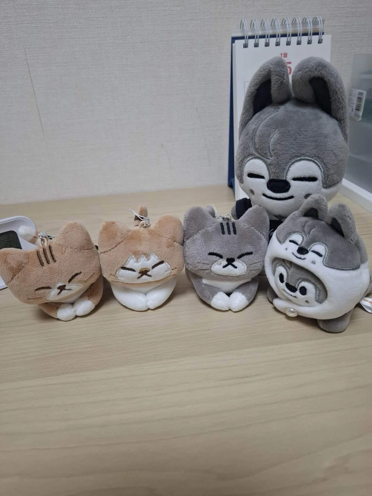すぅ様⭐︎おまとめ買い 我が家のskzooたち〜ひみつのお買い物｜あや