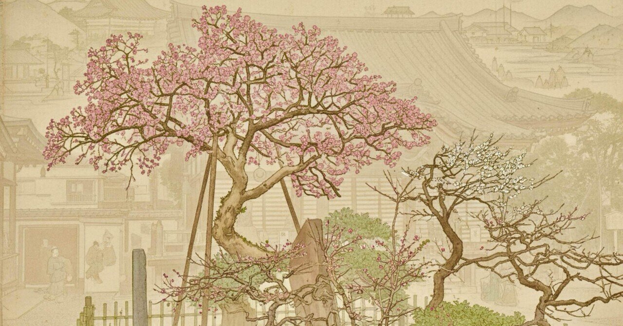 白梅か、紅梅か｜東京七味・七色蕃椒堂