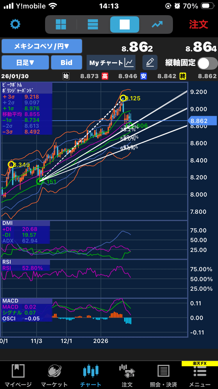 FX日記】調整続く、でも光が見えてきた！💡｜純資産2,981万円 、証拠金維持率597%✓｜トルコは買い増し検討段階へ、メキシコはもう少し待ち📊｜来週の米指標発表が楽しみ🎉｜1/31｜おがさん