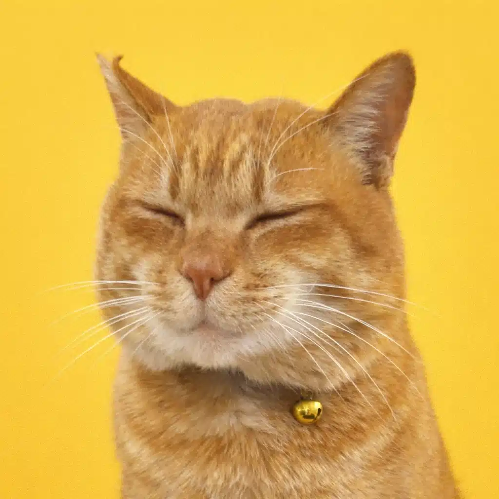 トラの飼い主