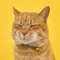 トラの飼い主