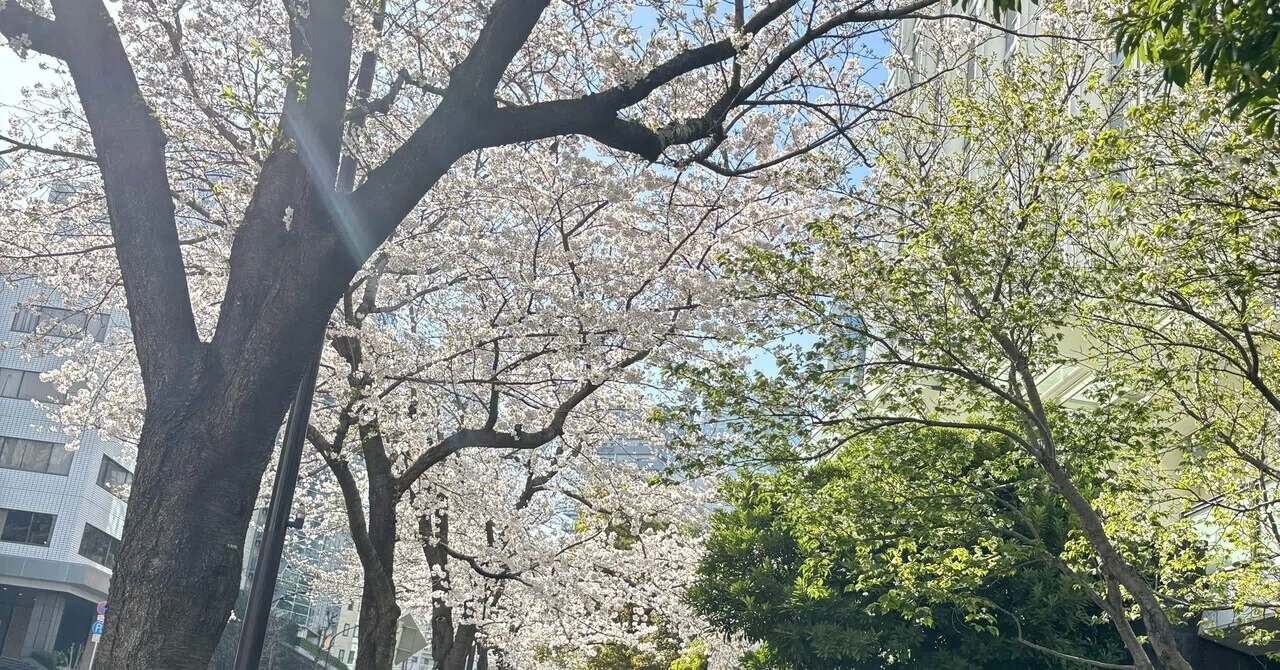 学校ソングに想いを馳せる｜春風