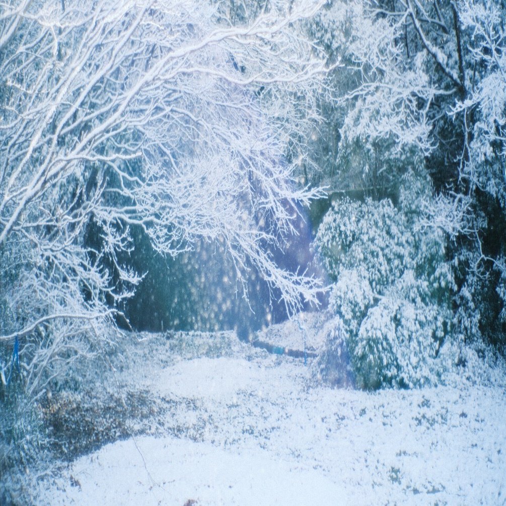 7Artisans 35mm F1.2と雪｜月曜休み。