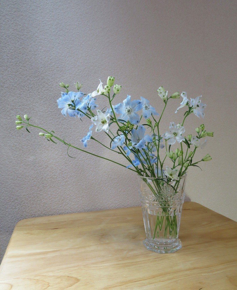 花材特徴まとめ デルフィニウム 花と日々 Yas Note 花材特徴まとめ デルフィニウム 花と日々 Yas Note