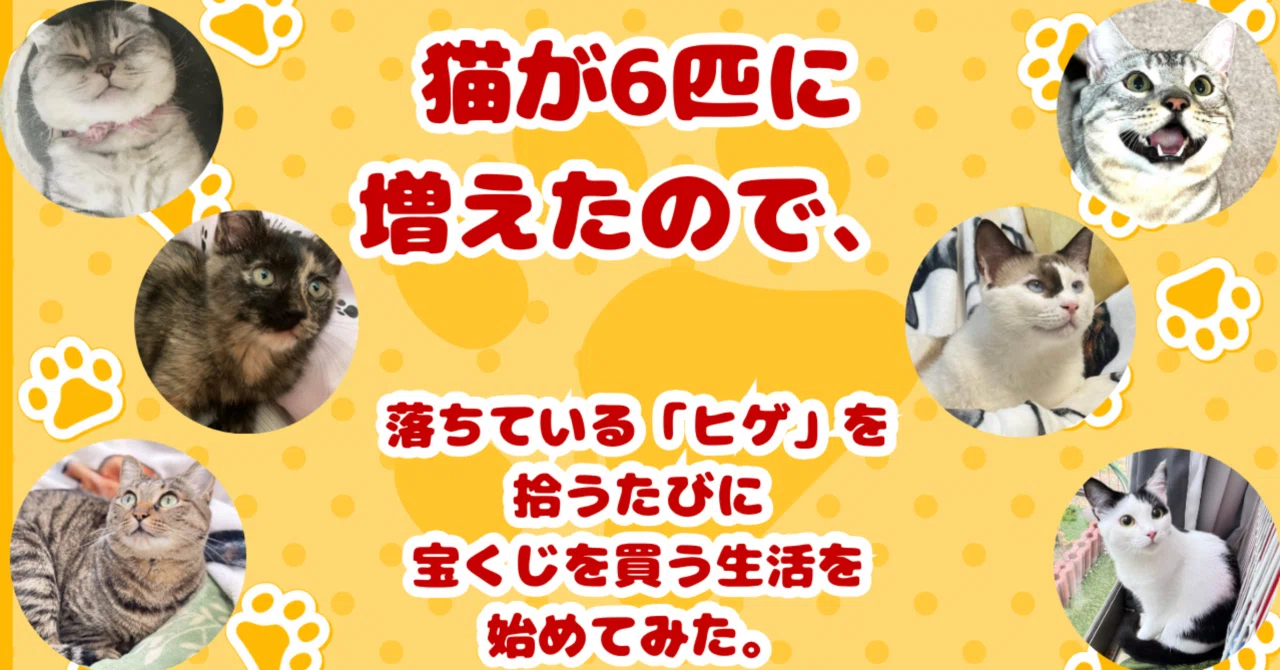 猫が6匹に増えたので、落ちている「ヒゲ」を拾うたびに宝くじを買う