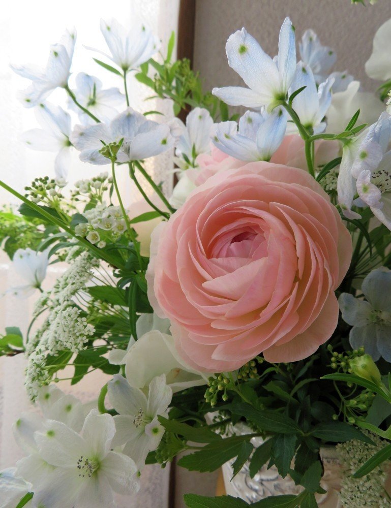 花材特徴まとめ デルフィニウム 花と日々 Yas Note